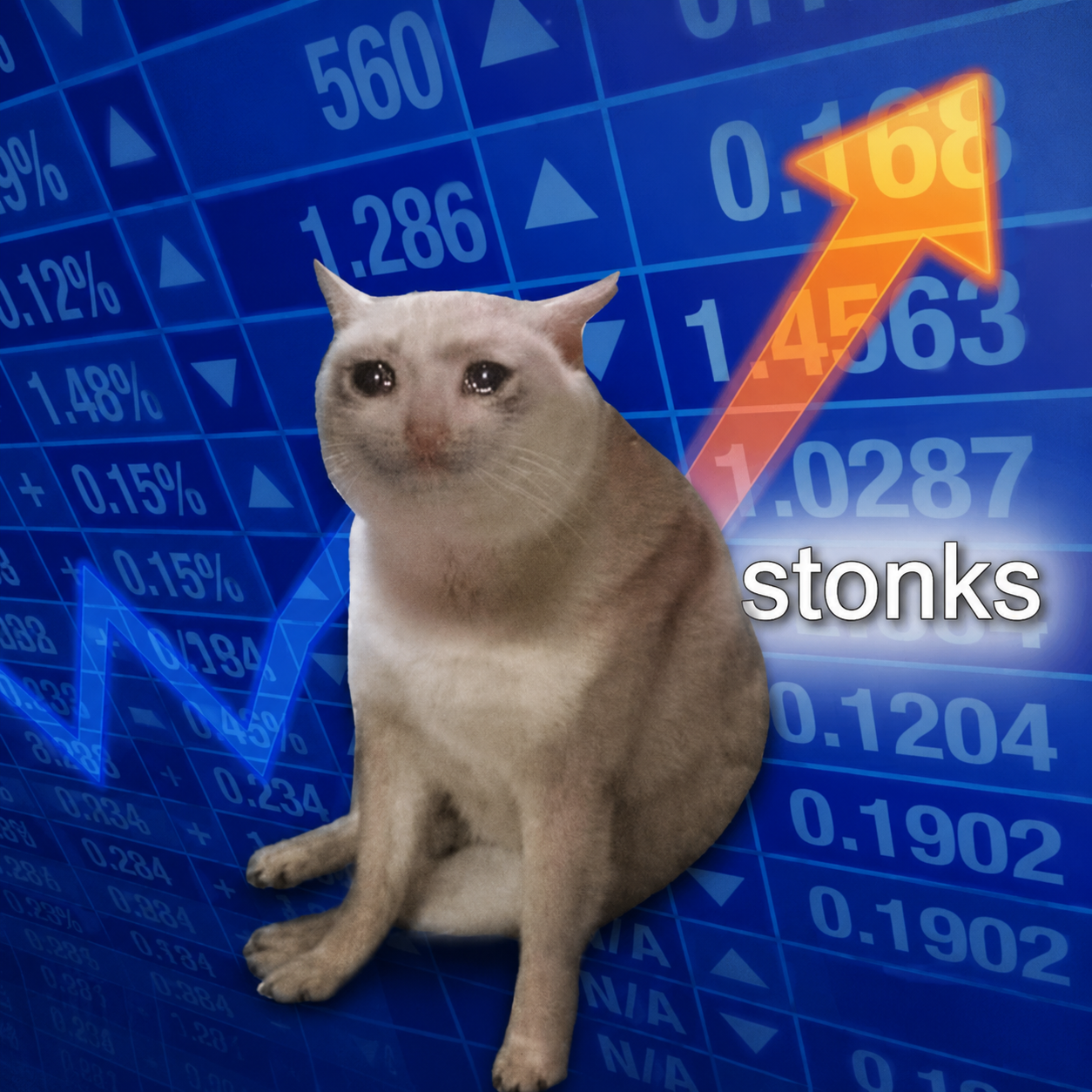 Stonks Cat